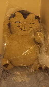 Jacob cat積及貓  biggest size 65cm