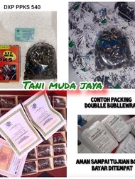 Bibit Benih Kecambah Sawit Berkualitas Varietas DxP PPKS 239 PPKS 540 PPKS 718 Unggul Berkualitas TE