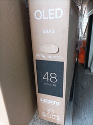 LG OLED 48A3P 48吋 4K 智能電視 Smart TV