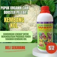 Cauliflower Fertilizer Cauliflower Fertilizer Larissa Cauliflower Fertilizer/ Frozen Cauliflower Fer