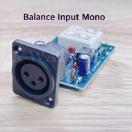 Balance Input บาร์ล้านอินพุท รุ่น MONO มีแคนนอน XLRในตัว