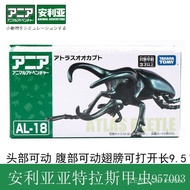 [925hot] TOMICA Ania Simulation Wild Insect Model Atlas Beetle Insect Toy Boy Decoration diecast KO3
