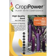 Benih Terung Panjang EG1 Purple Treasure F1 Hybrid EggPlant Crop Power - ( 10g ) 👍 💯