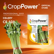 (50 GRAM) Biji Benih Daun Sup Saderi Big Salary 大薪 CE101 CROP POWER Celery seeds  芹菜种子  CE 101
