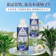 Fortune Bamboo Special Nutrient Liquid Fortune Bamboo Guanyin Bamboo Hydroponic Plant Grass Green Pl