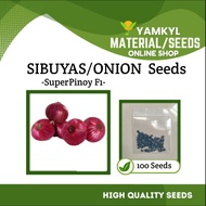 ONION/SIBUYAS (SUPER PINOY F1) High Quality Seeds