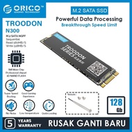 ORICO 128GB SSD M.2 SATA 2280 TROODON SERIES - N300-128GB