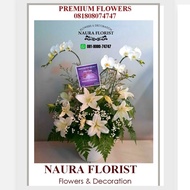 Bunga meja premium/anggrek bulan/bunga meja/ anggrek bulan premium 002