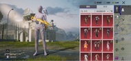PUBG Mobile 絕版木乃伊套裝 稀有槍皮有意請pm