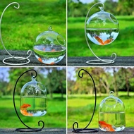 Round/Rectangle Shape Hanging Glass Aquarium Fish Tank Fish Bowl Transparent Vase Ornament With Rack Holder Home Decoration