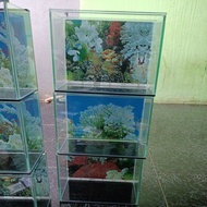 Aquarium 30X15X20 Background