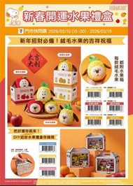 台灣代購 Snoopy 抱枕 馬年 金元寶 吊飾 麻布袋 毛巾 滑鼠墊 床單 門簾 拖鞋