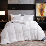 200x200cm Soft Goose Down Comforter Duvet Winter & Autumn Blankets Feather Bed Quilted Quilt Blanket