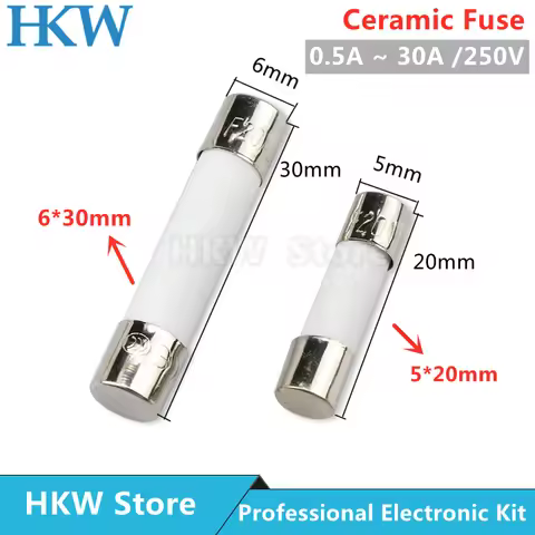 10pcs/lot 5*20mm 6*30mm Fast Blow Tube Fuses 250V 0.5A 1A 2A 3A 4A 5A 6A 6.3A 8A 10A 15A 20A 25A 30A