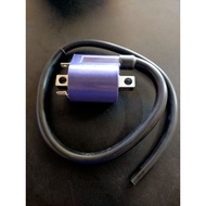 SOLARIZ AVANTIZ Y15ZR Y16Z COIL PLUG STANDARD