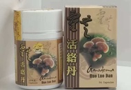 LINH CHI HOẠT LẠC ĐƠN CHÍNH HÃNG HỖ TRỢ XƯƠNG KHỚP VÀ GOUT