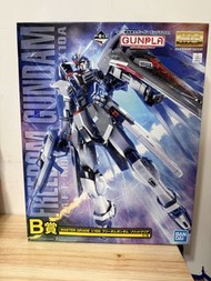 Bandai MG 1/100 Freedom Gundam Seed destiny Clear color 自由高達