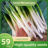 (Giant Green Onion Seed 700 Seeds)High Quality Varieties Hybrid Big Green Onion Leeks Seeds Vegetable Seeds for Gardening Courtyard Bonsai Pots Plants Seeds Seasoning Live Plant Scallion Seeds Easy to Grow in the Philippines-Basic Farm House