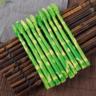 Simulated Asparagus Plastic Ornaments Artificial Asparagus For Bedrooms Offices