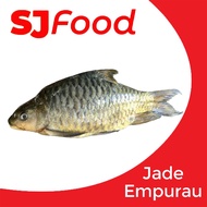 SJ Food Fresh Frozen Jade Empurau 2-2.3KG