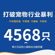 Factory Direct Sales Cat Nutrient Solution 6ml Cat Use FPV Transfer Abdomen Quick Tonic Nutritional 