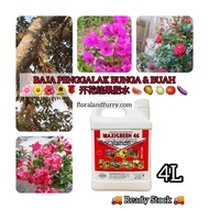 Maxigreen Merah 46 4L Foliage Fertilizer Micronutrients Flowering Fruiting Baja Foliar Penggalak Bun