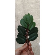 Red-veined Dandelion Leaves Roofing Bird Cages