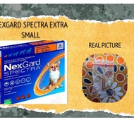 New - Nexgard spectra extra small dog REPACK 2-3.5 kg XS dog Worm demodex Flea Medicine