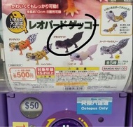 Bandai 生物大圖鑑 豹紋守宮 扭蛋 肥尾 黑夜 repti gecko