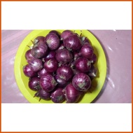▩ ❀ ∱ SIBUYAS NA PULA - RED ONION ( HALF KILO - 500GRAMS)