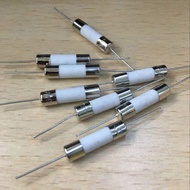 Induction Cooker Dedicated Fuse 5X20mm Fuse Ceramic with Lead Fuse 250V 10A 20A 15A