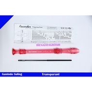 GUNINDO Transparent Flute Recorder Premium Flute Musical Instrument