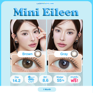 คอนแทคเลนส์ Mini Eileen Brown / Gray (Kitty Kawaii) ขนาดมินิ 🌷