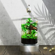 【免運】積木印象活水草生態紓壓魚缸生態瓶【窈窕雅木】