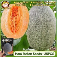 100% Original Fresh Cantaloupe Seeds Hami Melon Seeds for Planting Fruits Plants 25pcs Organic Fruit