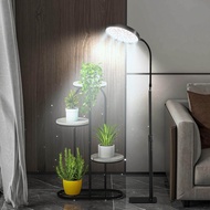 LED Grow Lightพืชในร่ม 6000Kเต็มสเปกตรัมพร้อมขาตั้งAC85-265Vชั้นปลูกโคมไฟอัตโนมัติเปิด/ปิด 4/8/12 ชั