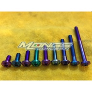 Bolt M8 BIG Length 15mm/100mm TITANIUM GR5