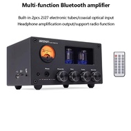 HIFI Tube Audio Power Amplifier 100W Output Power Bluetooth 5.0 Mini Home Amplifier USB TF Card Play