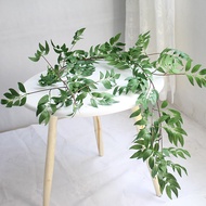 Fake vines, eucalyptus vines, fake eucalyptus leaf vines, used to decorate gardens, decorate balconi
