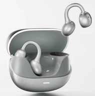 zhulinniao t40 ows earphones