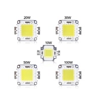 COB LED Chip DC 30-36V 10W 20W 30W 50W 100W Need Driver Bulb