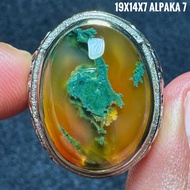 Agate Ring Aquarium Mossnatural (Natural Original) Moss Agate