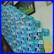 (Express) Cheap A4, Double A Printing Paper 70g, 80g - Genuine Thailand (500 sheets) (vpp Tritin)