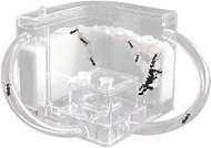 EXBEPE Sand Ant Farm with Connecting Tubes,Live Ant Habitat for Kids to Study Insect Behavior,Ant Colony Ecosystem Terrarium Kit