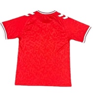 DENMARK HOME EURO 2024 NEW FOOTBALL JERSEY