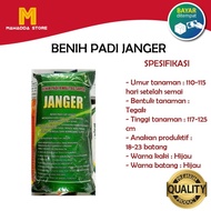 Benih Padi Ciherang Janger