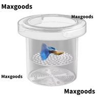 MAXGOODS Aquarium Isolation Box, Acrylic Transparent Floating Hatching Box, Durable Shrimp Guppy Det