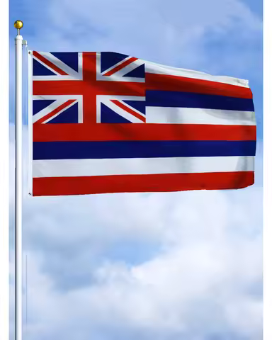 60×90 90x150 120×180CM Hawaii Hawai Emblem Flag Polyester Printed Banner Hawaii Tapestry For Decor