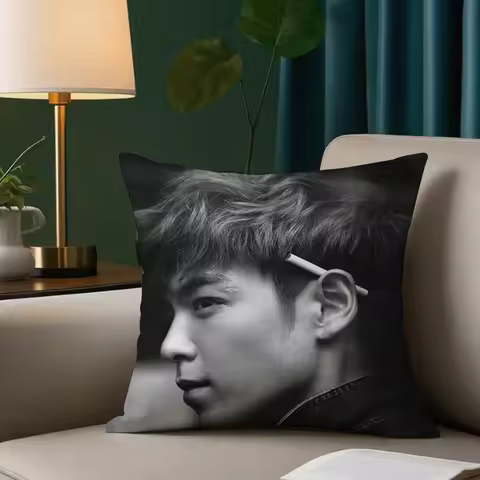 Top Bigbang Choi Seung-hyun Pillow Case Square Pillowcase Double-Sided Printing Short Plush Sofa Cus