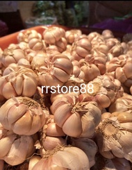 Bawang putih 700gram /  bawang putih / bawang putih honan